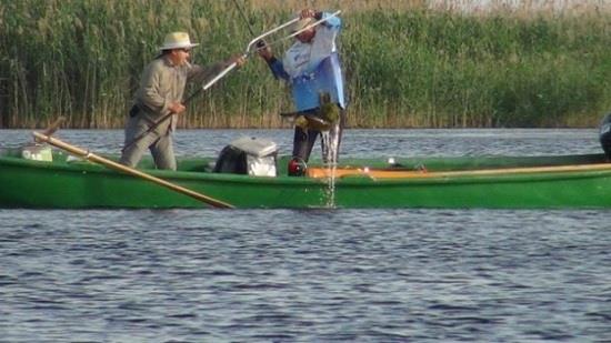 HOLBINA PIKEMASTER 2014 - 7-pikemaster.jpeg